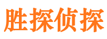 无为侦探公司